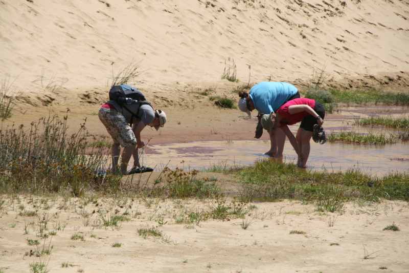 Nieuw-Zeeland 2011 - 0388